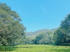 -灵隐飞来峰景区