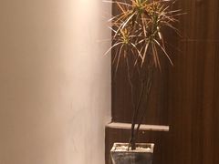 -小茶闲舍·观景商务茶馆(广州塔店)
