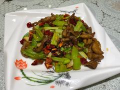 麻婆肥肠-芳芳餐厅(白沙路店)