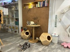 -楼上猫咖(罗湖店)