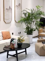 -悦尚生活空间•瑜伽普拉提•悦心芳香疗愈SPA