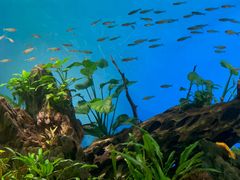 -太平洋海底世界