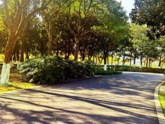 -白塘生态植物园