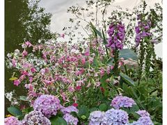 -人民公园(罗湖区)