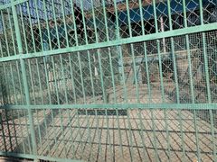 -秦皇岛野生动物园