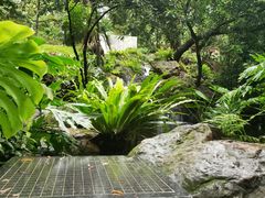 -广州兰圃