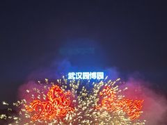 -武汉园博园(武汉自然博物馆)