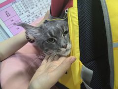 -中农大我爱我爱24h动物医院·中医针灸·猫专科·骨科医疗中心(双井店)