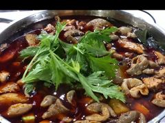 -时二崽肥肠鸡大排档(健康路店)