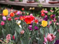 -斯多格书乡(北京大学畅春园店)