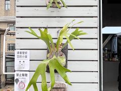 -nodcafe(M50创意园店)