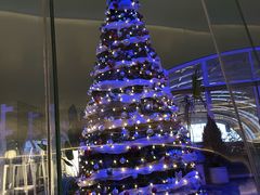 -Hi City·城市之巅