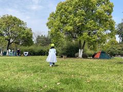 -艾溪湖湿地公园