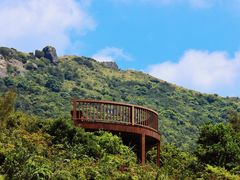 -大姆山草场