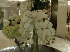 -天津津利华酒店