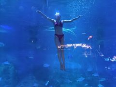 -烟台海昌鲸鲨海洋公园