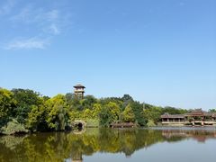 -张坝桂圆林公园