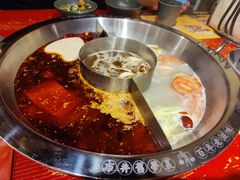 -谭鸭血老火锅(娄星区长青街店)