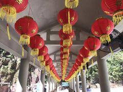 -九龙江国家森林公园