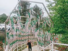 -清境桃源