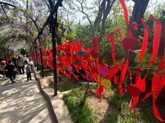 -蓬莱阁景区
