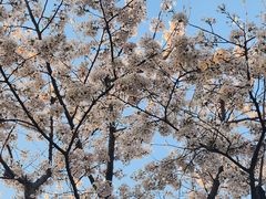 -龙美术馆(西岸馆)
