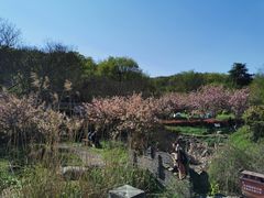 -南京市江宁方山