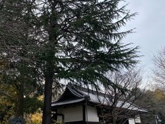 -东京国立博物馆