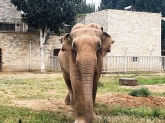 -石家庄市动物园