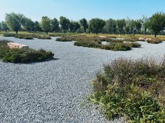 -汉长安城未央宫国家考古遗址公园