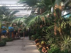 -南宫温泉水世界