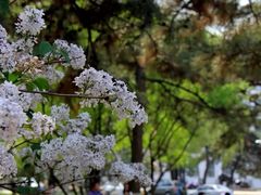-东北大学(南湖校区)