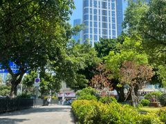 -野草莓自由市场