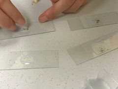 -康乐宝动物医院