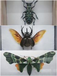 -酷嗒动物文化乐园(cutezoo西溪乐天城店)