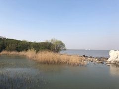 -吴淞炮台湾湿地森林公园烧烤区