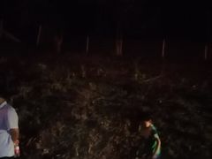 -上海长途汽车客运总站