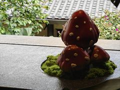 -菌自由丨野生菌火锅特色庭院餐厅(丽江古城店)