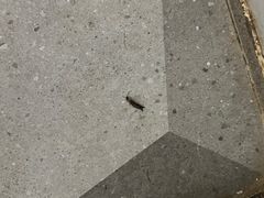 -Zsmart智尚酒店(上海轻纺市场定边路地铁站店)