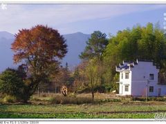 -塔川景区