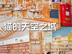 -猫的天空之城概念书店(印象城购物中心店)