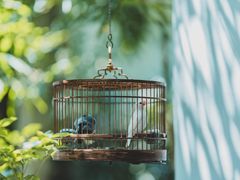 -31号公馆(黄兴广场白果园店)