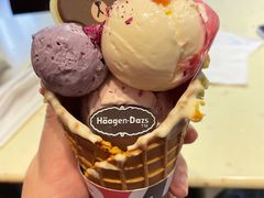 花意华夫冰淇淋-哈根达斯(万象城店)
