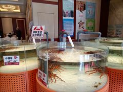 -万龙洲海鲜(大兴绿地缤纷城店)