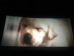 -万象影城(石家庄万象城IMAX激光店)