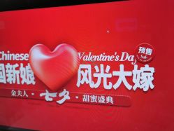-金夫人婚纱摄影(总店)