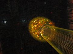 DSC01711-深圳东部华侨城茵特拉根酒店