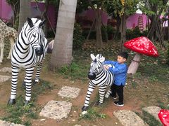 -厦门方特梦幻王国