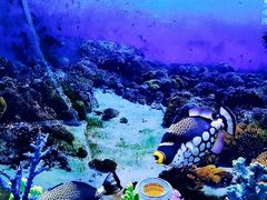-左海海底世界