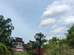 -西溪国家湿地公园